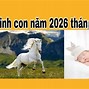 Sinh Con 2026 Tháng Nào Tốt Nhất