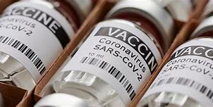 Vaccine Vietnam Tên Gì Ở Mỹ Hay Cho Nữ Ở Mỹ